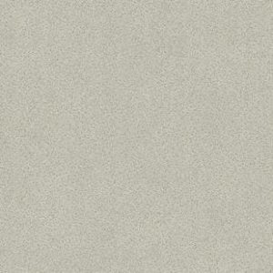 bc7eba40c12b56a1d9ae0ea7479a1f81